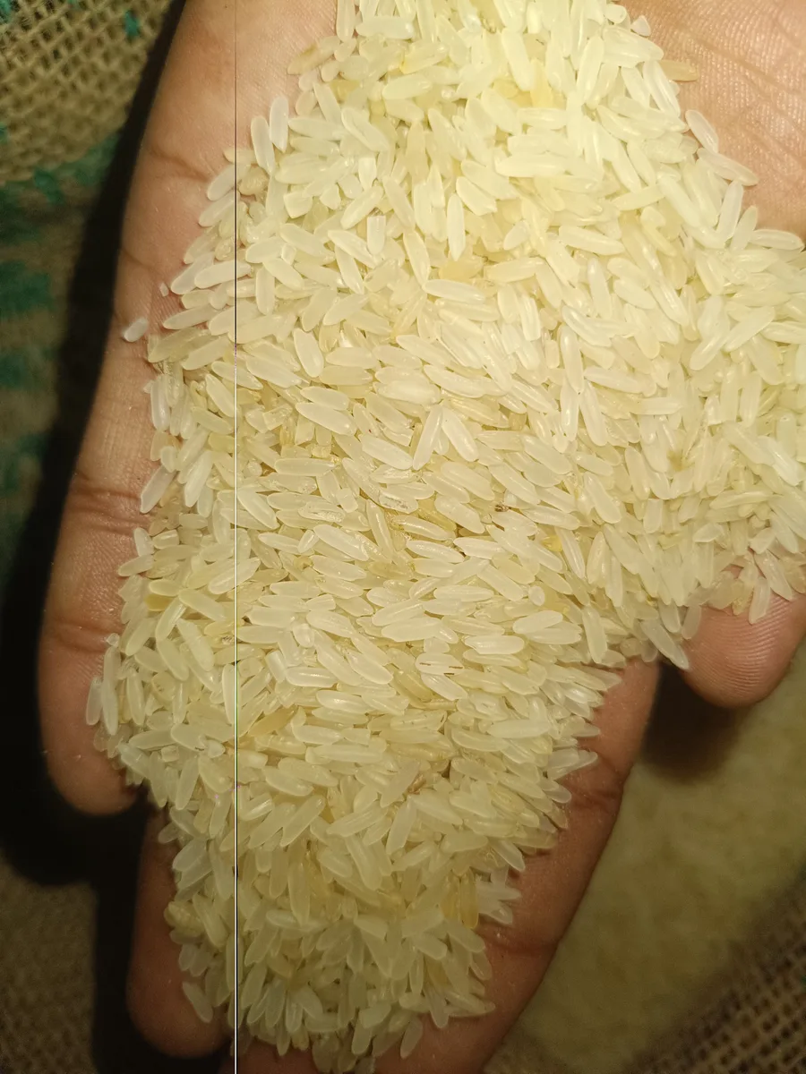 মিনিকেট চাউল