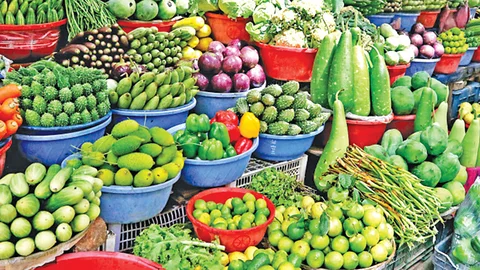 Vegetables And Fruits Shams Enterprise