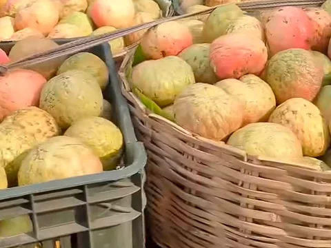 আতা ফল