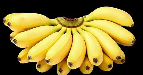 Homegrown banana"