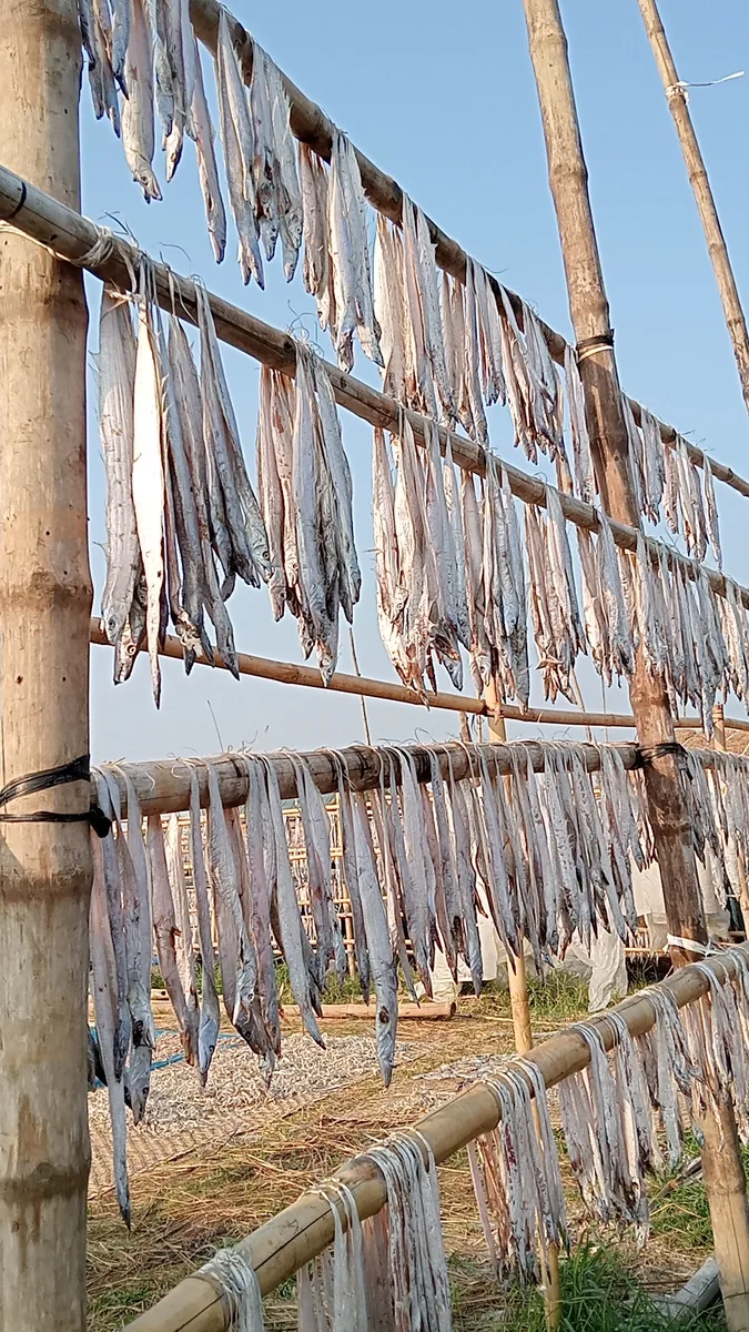 চট্টগ্রাম টেকনাফ - সকল সুটকি