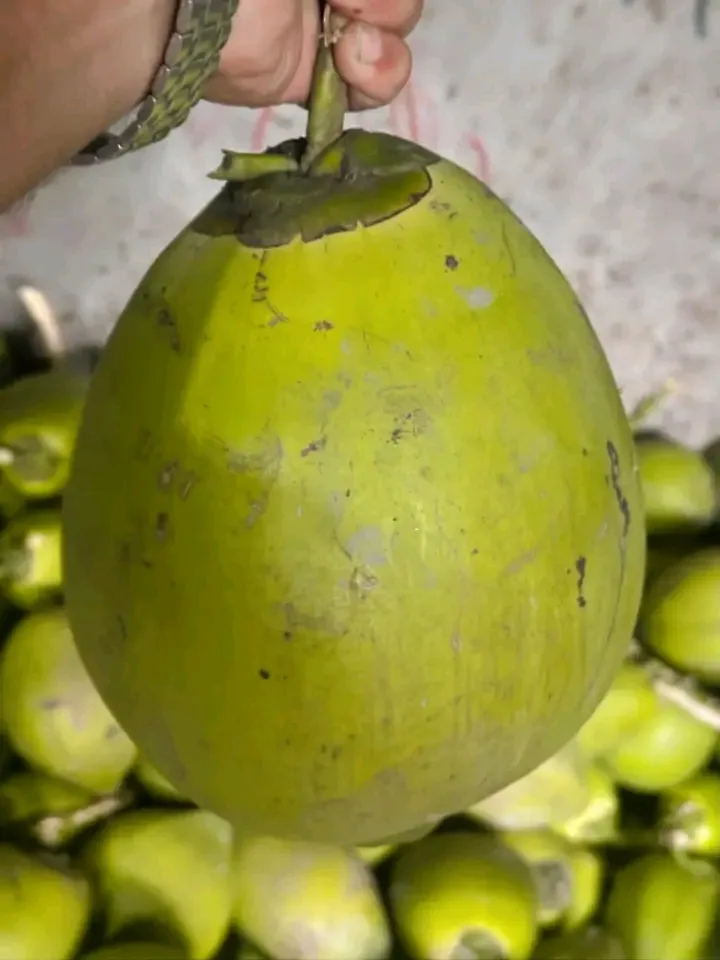 ডাব