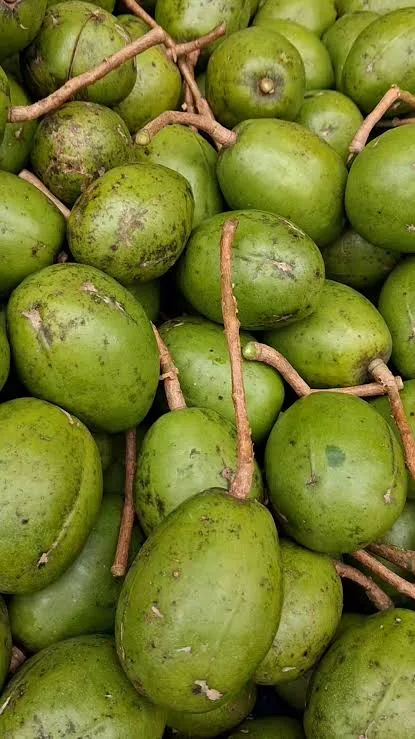 আমড়া
