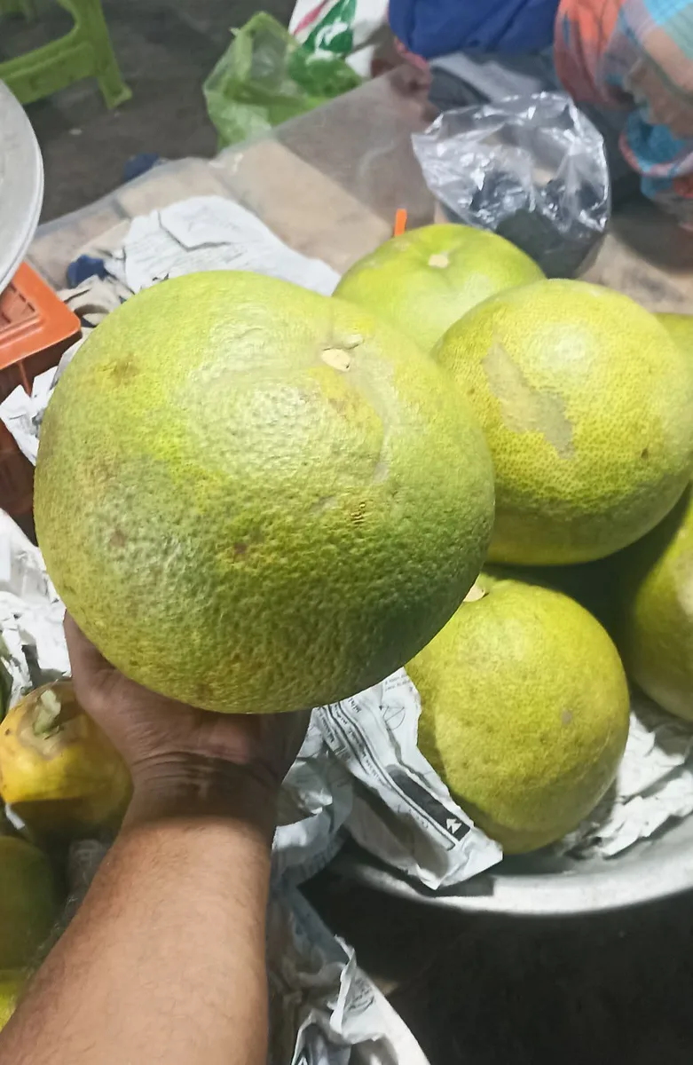 জাম্বুরা