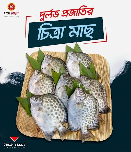 ইলিশ ও সুন্দর বনের মাছ