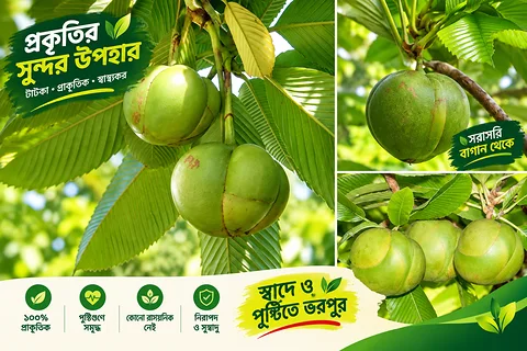 চালতা