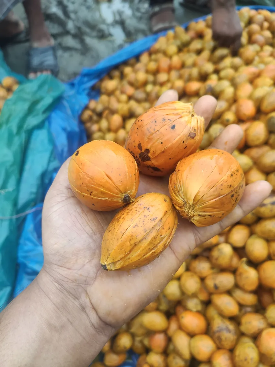 সুপারি