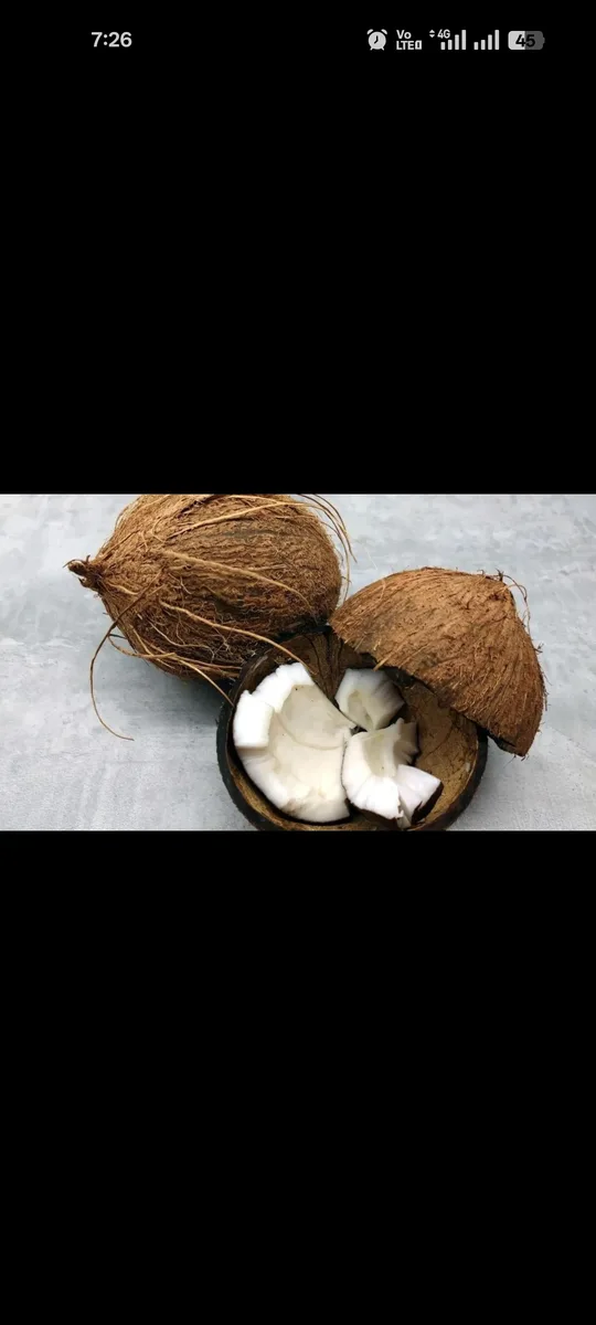 শুকনা /ঝুনা নারিকেল