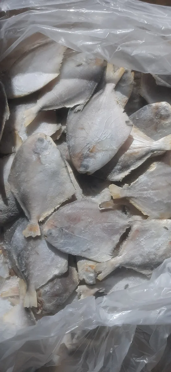 ফ্রেশ ফ্রোজেন ফিস
