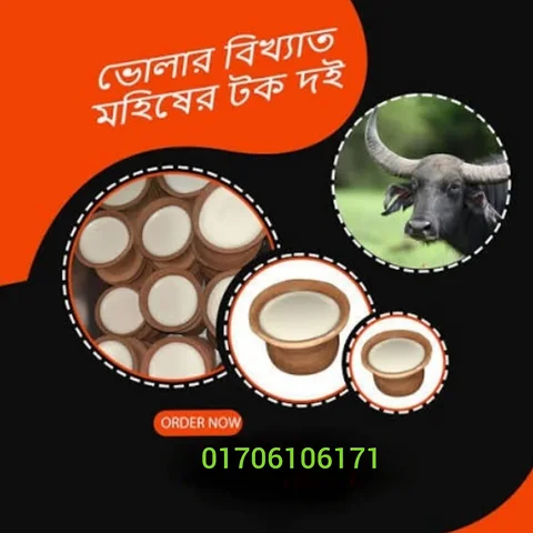 ভোলার বিখ্যাত মহিষের দই