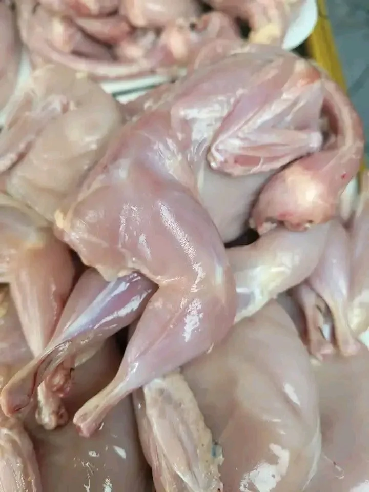 কোয়েল পাখি মাংস