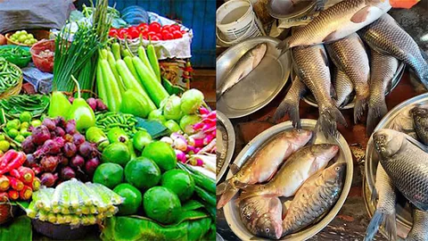 Vegetable and Fish