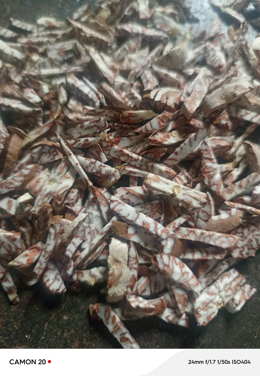 Betel nut