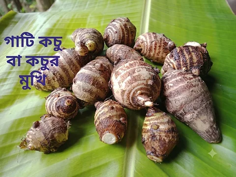 কচুর মুখী একটা সবজি