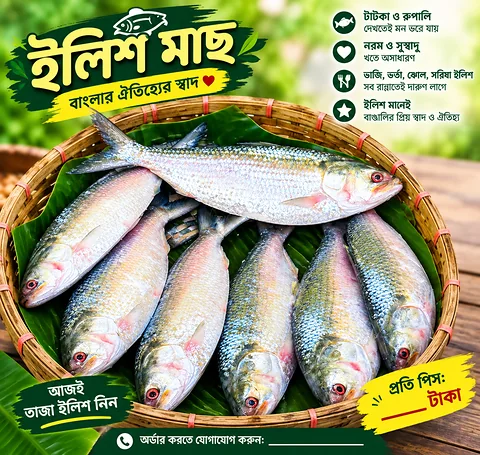 Hilsa Fish 🐟