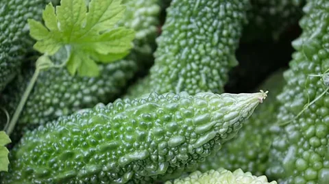 Bitter Melon