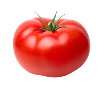 Fresh Tomato (Solanum lycopersicum)