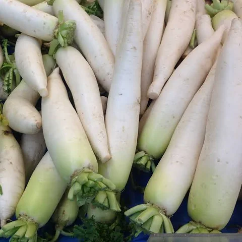 White radish