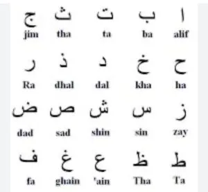 Looking for arabic teacher