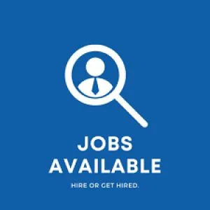 Junior executive, accounts department (billing section)