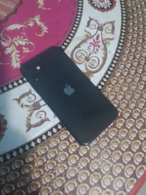 Iphn 11 ( black )