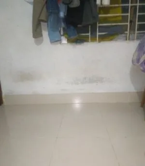 রুমমেট আবশ্যক