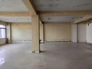 Erectors house