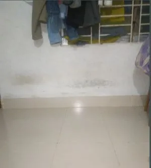 রুমমেট আবশ্যক