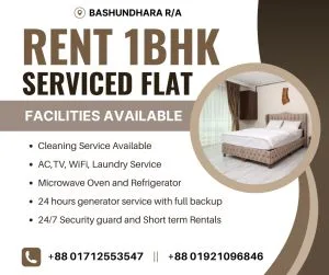 Rent furnished  apartment