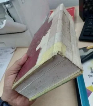 ড্রাগ ডিরেক্টরি