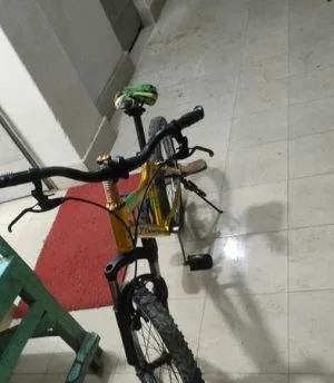 ফনিক্স সাইকেল