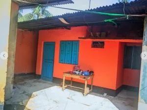 Shed house