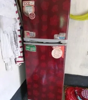 Freeze for sale