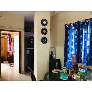 700 sqft used flat