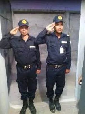 কেয়ারটেকার প্রয়োজন