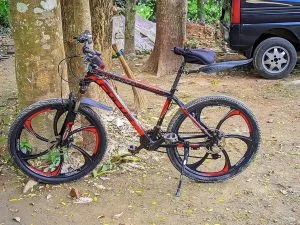 Bicycle for sale