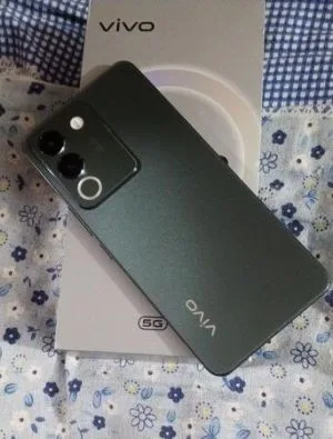 Vivo v29e 8/256