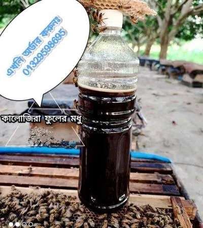 কালোজিরা মধু