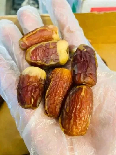 সুগাই খেজুর