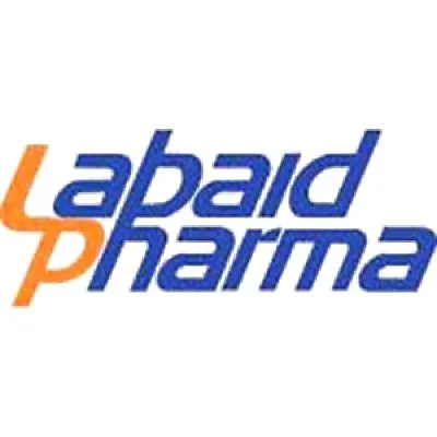 Senior executive, internal audit & control