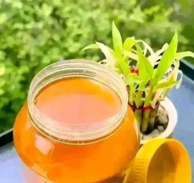 মিষ্টি-করা জালের গাওয়া ঘি