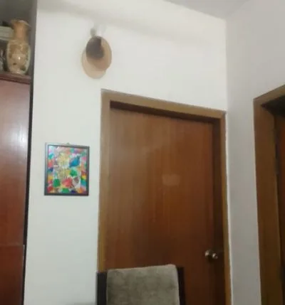 Flat for rent from September