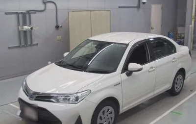 Toyota Axio X Hybrid 2019
