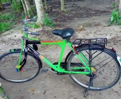 Avon cycle