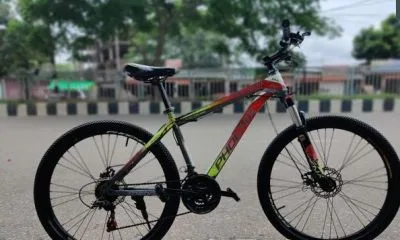 Phoenix cycle