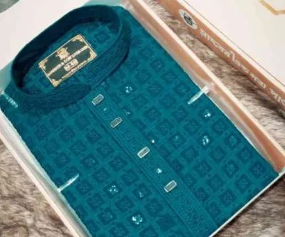 Premium quality indian sequence work panjabi