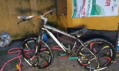 phoenix gear cycle