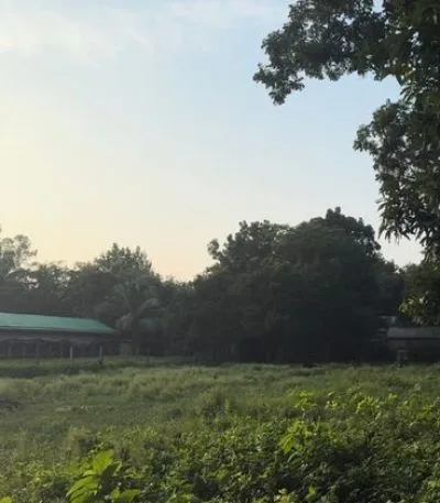 ২ বিঘার উপরে খালি জমি ভাড়া দেওয়া হবে