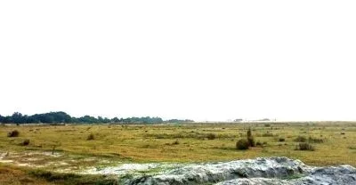 3 Katha plots Bashundhara, Block-P Ext