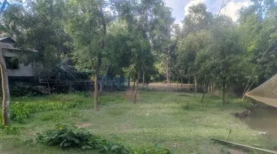 ১৩ শতক জায়গা বিক্রয় হইবে